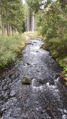 Rund um die Talsperre Frauenau