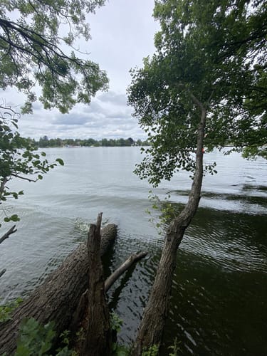 Wanderweg Schmöckwitzer Werder
