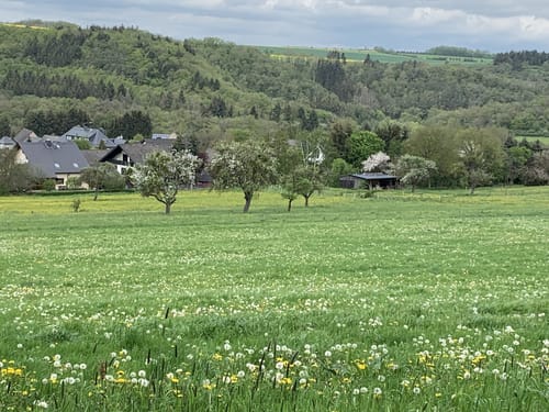 Felder und Wildgehege Gehlweiler