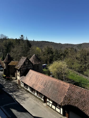 Siegelsbach - Burg Guttenberg