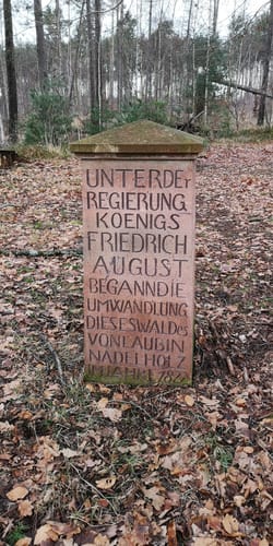 Colditz - Bad Lausick - Leisenau Runde