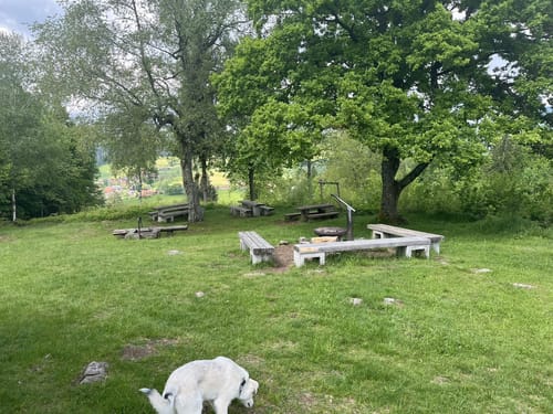 Rümmelesbühl ab Gresgen