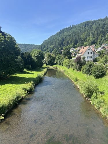 Durch das wildromantische Schweinbachtal zur Bruderhöhle
