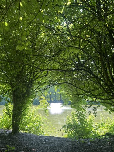 Schloss Herten Rundweg