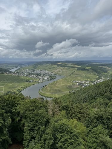 Seitensprung Mehringer Schweiz