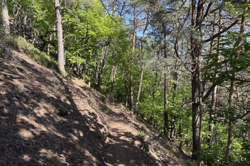 Busenberger Holzschuhpfad (Premiumwanderweg)