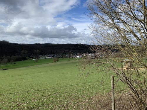 Felder und Wildgehege Gehlweiler