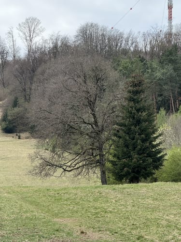 Hesselberg - Hesselberg Haus