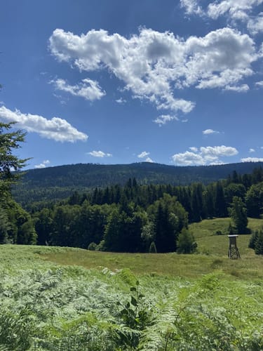 Vom Oberen Gaistal zur Teufelsmühle