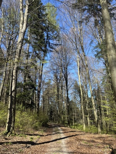 Eichelberg Rundweg