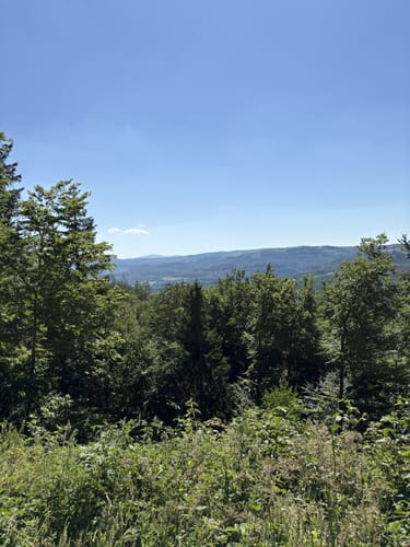 Innerstetalsperre - Brockenblick