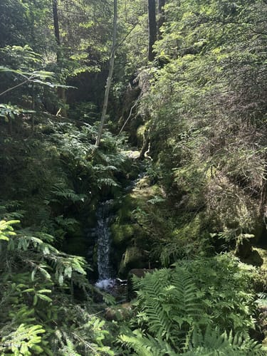Rundweg um die Schmalwasser Talsperre