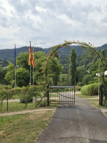 Wald & Rosen-Rundweg