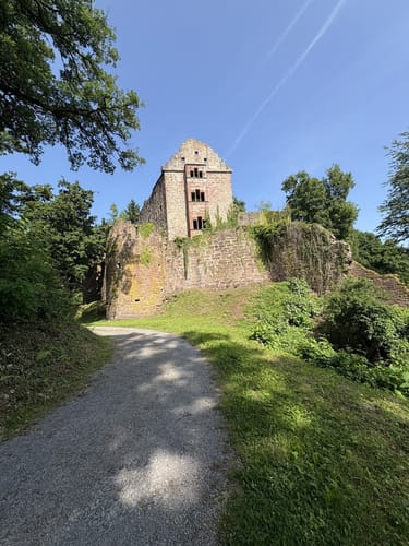 Neckarsteig Etappe 6: Neunkirchen - Neckargerach