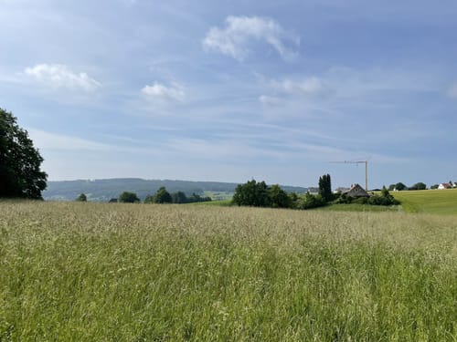 Eggetaler Panorama Weg mit Abstecher zur Burgruine Limberg