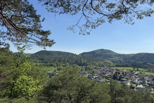 Busenberger Holzschuhpfad (Premiumwanderweg)