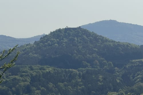 Busenberger Holzschuhpfad (Premiumwanderweg)