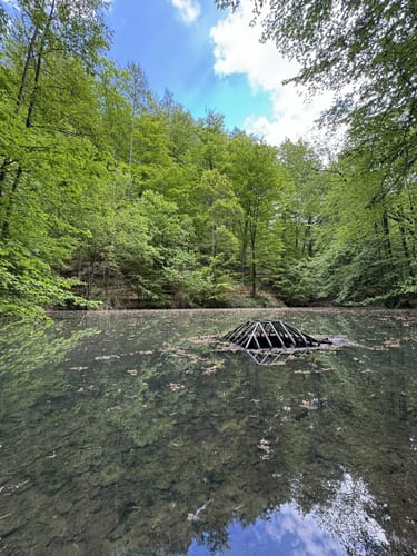 Tannenberg und Märchenteich ab Seeheim-Jugenheim