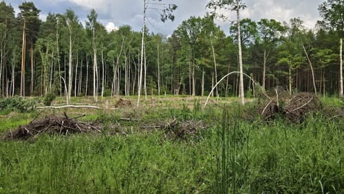 Seerosenteich - Ronnerberg Rundweg