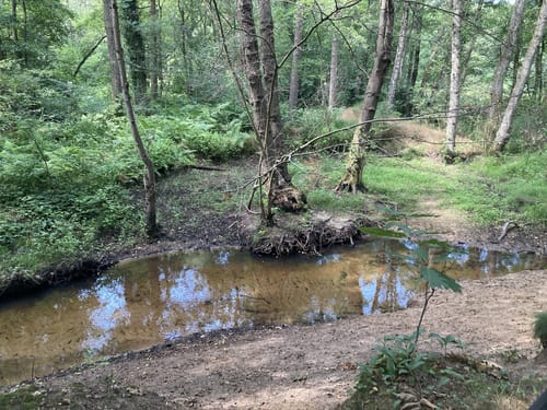 Roermond - Meinweg MTB