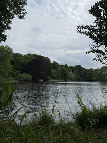 Durch den Rombergpark