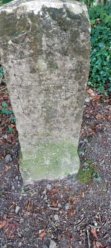 Neunlindenturm - Lilienhof Rundwanderung