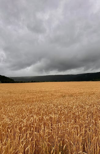 Donau-Radweg (D-Route 6) Etappe 5: Tuttlingen - Sigmaringen