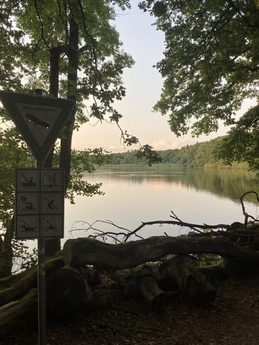 Rund um den Brinkeweiher