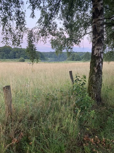 Rund um den Brinkeweiher