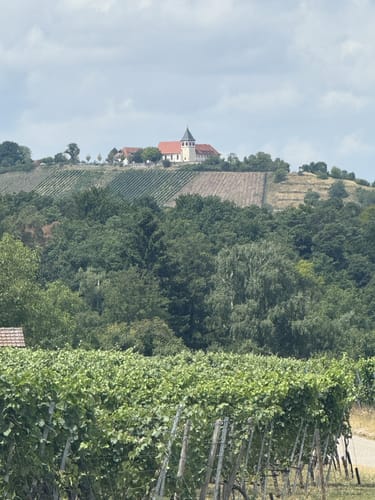 Lemberger Tour Bönnigheim