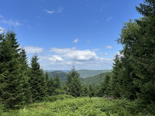 Baiersbronner Himmelsweg: Naturgewalten-Tour