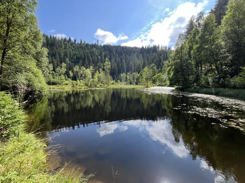 Baiersbronner Himmelsweg: Naturgewalten-Tour
