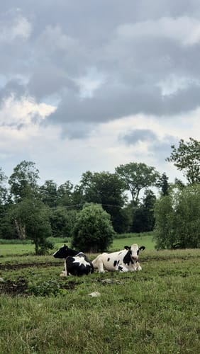 Von Bergen an den Greifswalder Bodden
