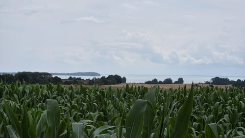 Von Bergen an den Greifswalder Bodden