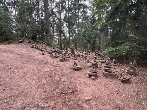 Dahner Felsenpfad (Premiumwanderweg)