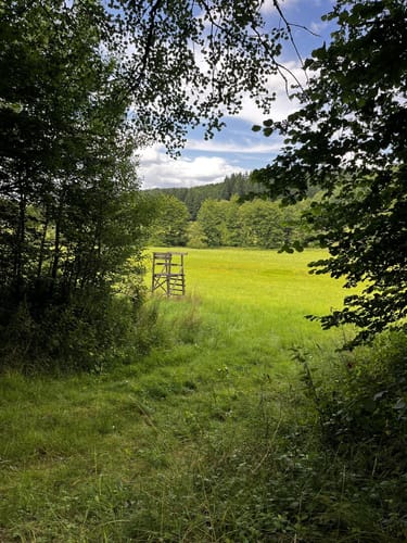 2-Bäche-Pfad