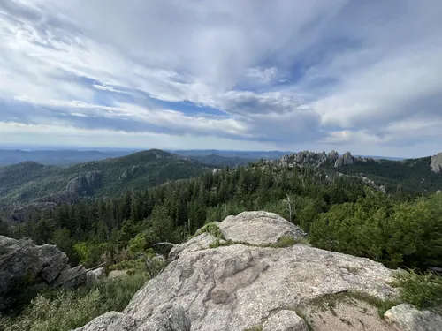 Los mejores senderos por bosque en Hermosa | AllTrails