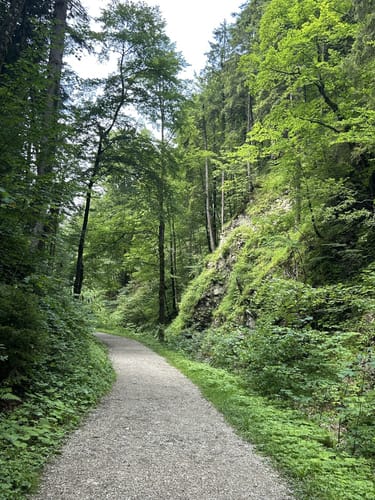 Von Oberwössen zur Feldlahn-Alm