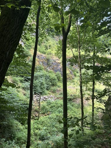 Erdbacher Karst- und Höhlenlehrpfad (Kleine Runde)