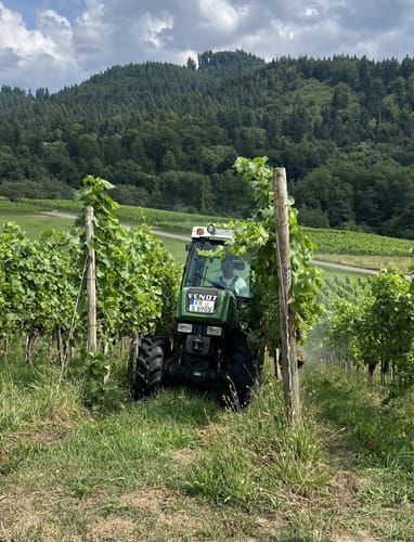 Weinbergsrunde ab Grunern