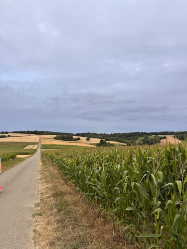 Weingarten - Petersberg