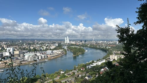 Durch den Buchswald über Hornfelsen