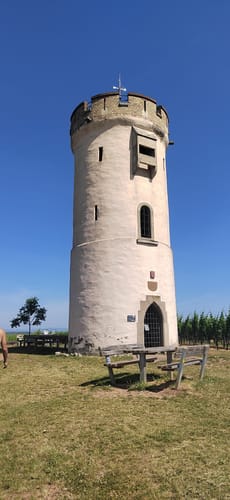 Nierstein - Nackenheim Roter Hang