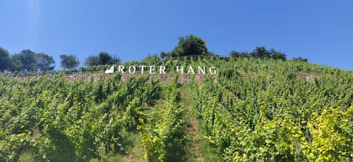 Nierstein - Nackenheim Roter Hang