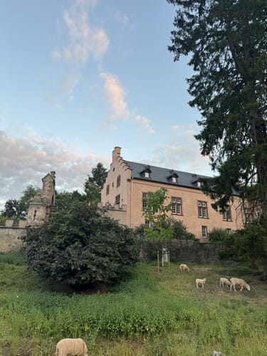 Von Mertesdorf nach Kasel