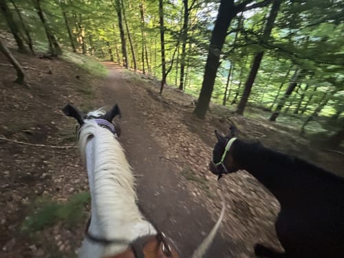 Rundwanderweg Hiltersklingen 7: Streitberg-Weg