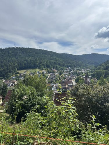 Bannwald Eiberg und Forscherpfad
