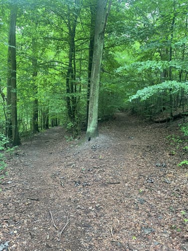 Weg der Auenblicke [CLOSED]