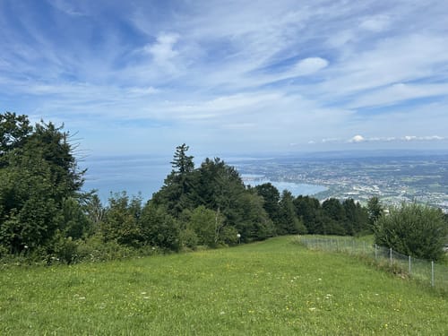 Sportliche Talwanderung: Pfänderbahn - über Gschliefweg - Bregenz