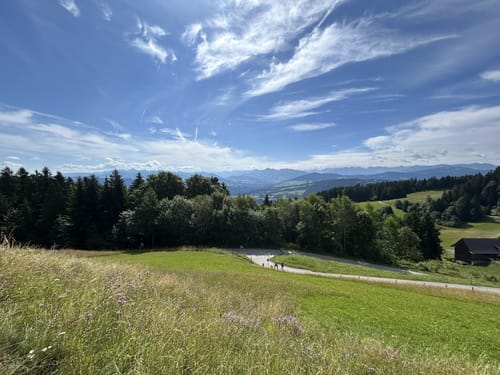 Sportliche Talwanderung: Pfänderbahn - über Gschliefweg - Bregenz